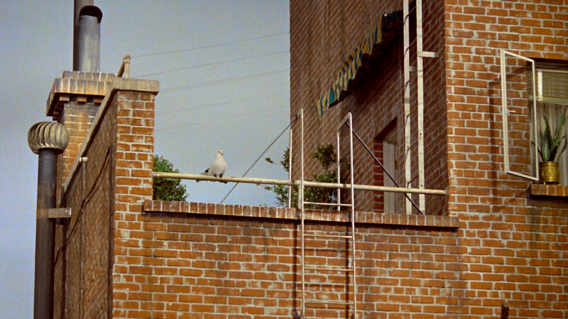 male_gazing_still_6